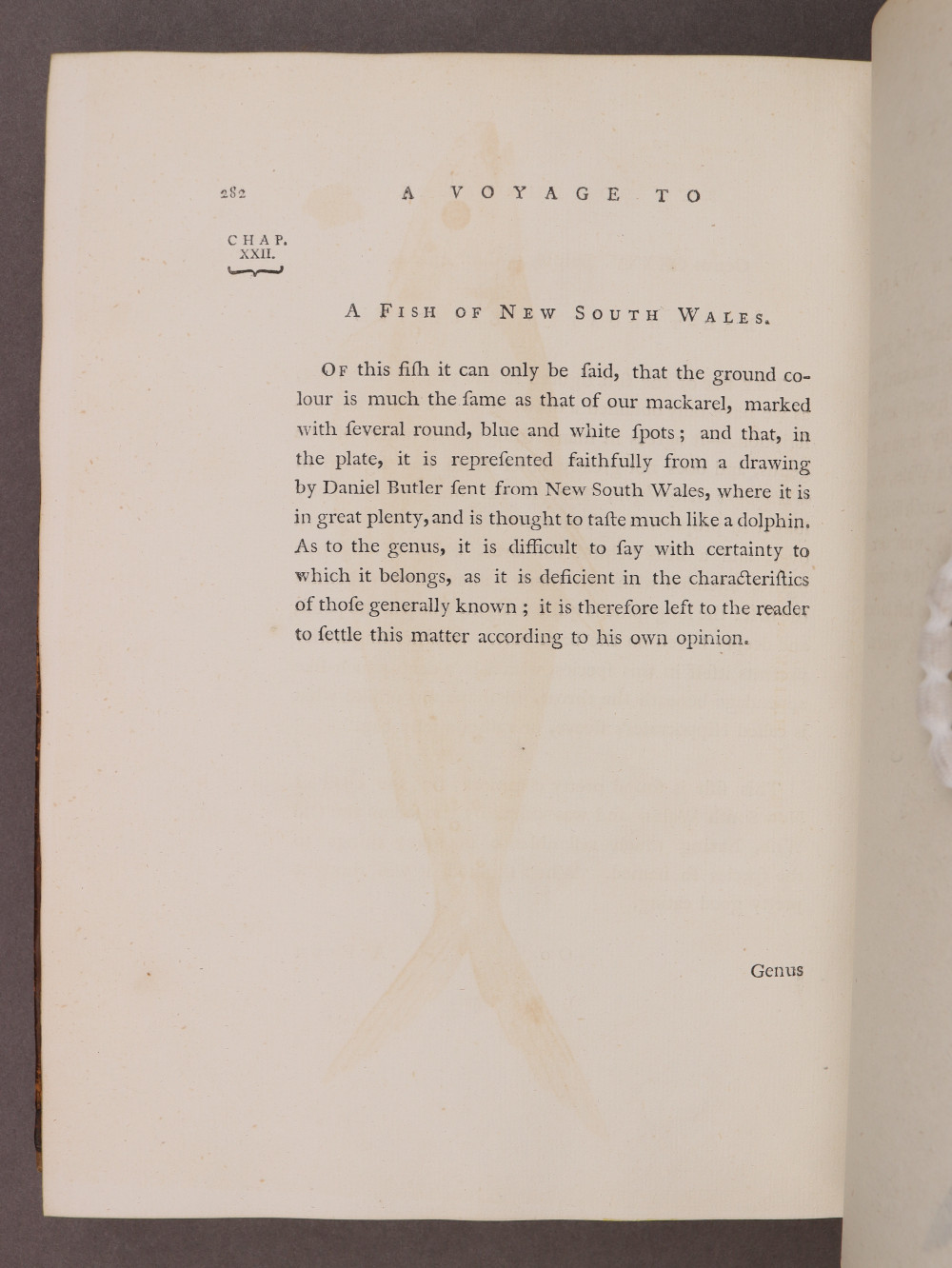 Page 282